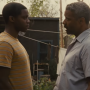 Fences